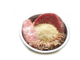 Гипоаллергенный корм для собак «Говядина с рисом»